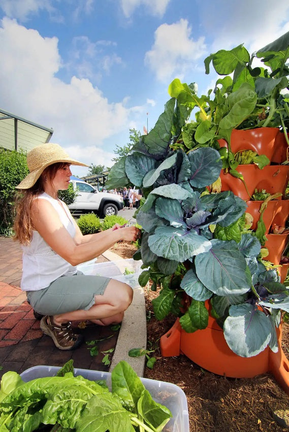 Tour de jardin rotative