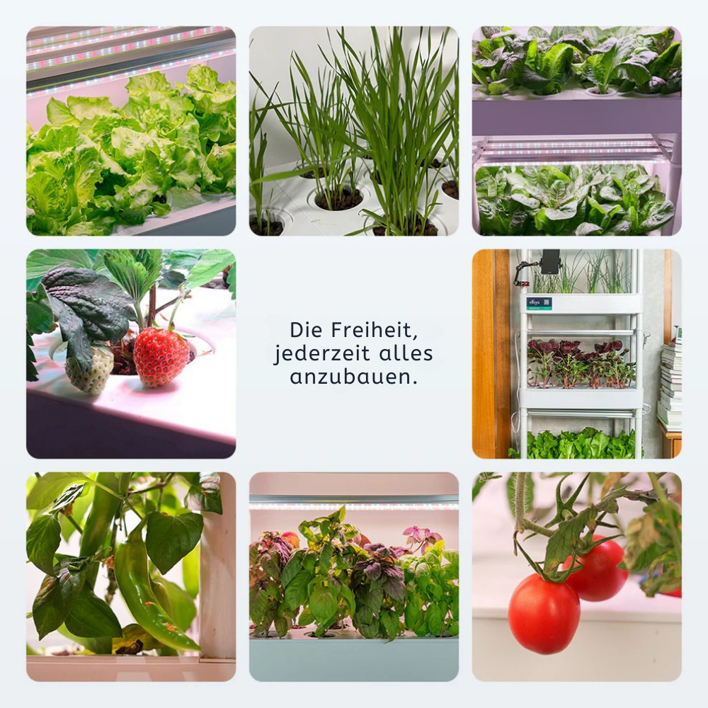 GrowSphere™ Indoor Garten