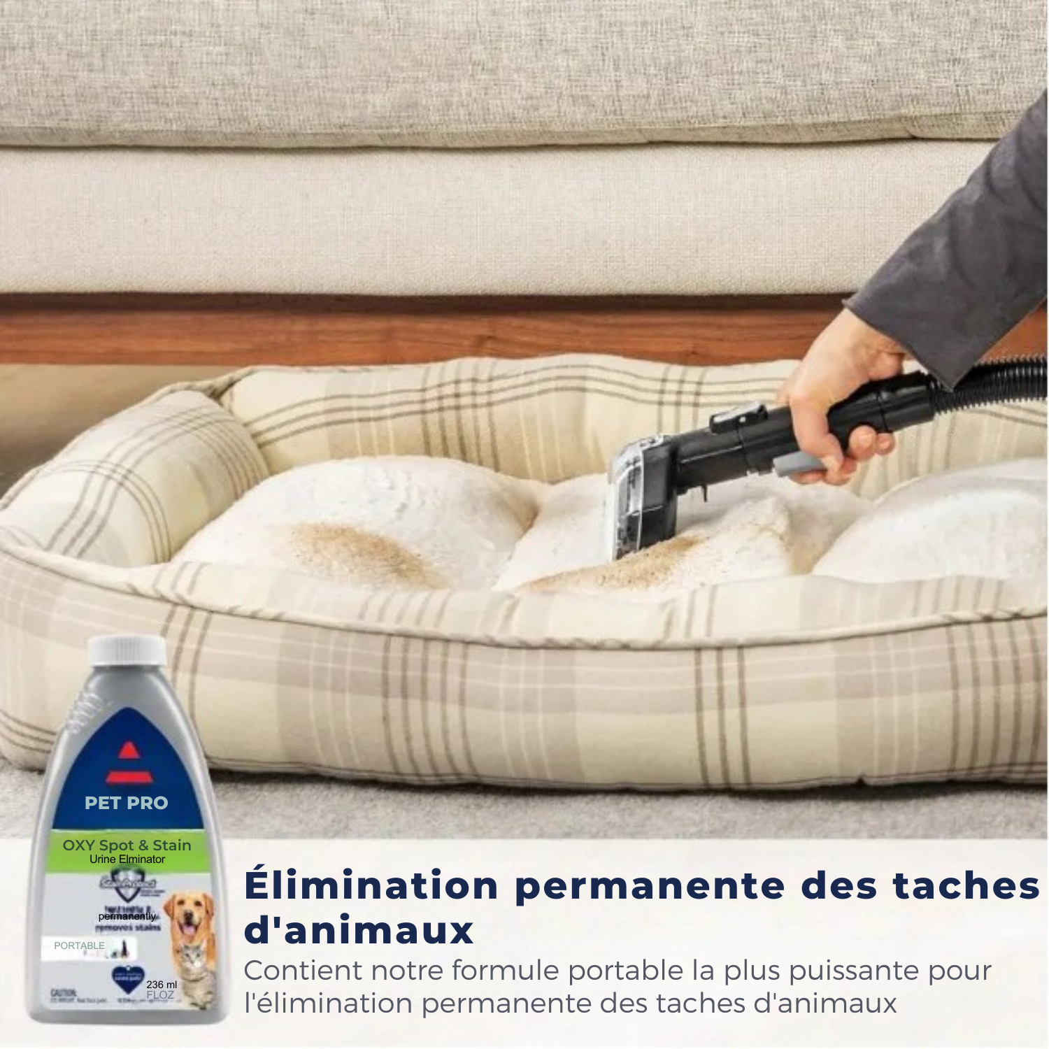 Nettoyeur de tapis portable