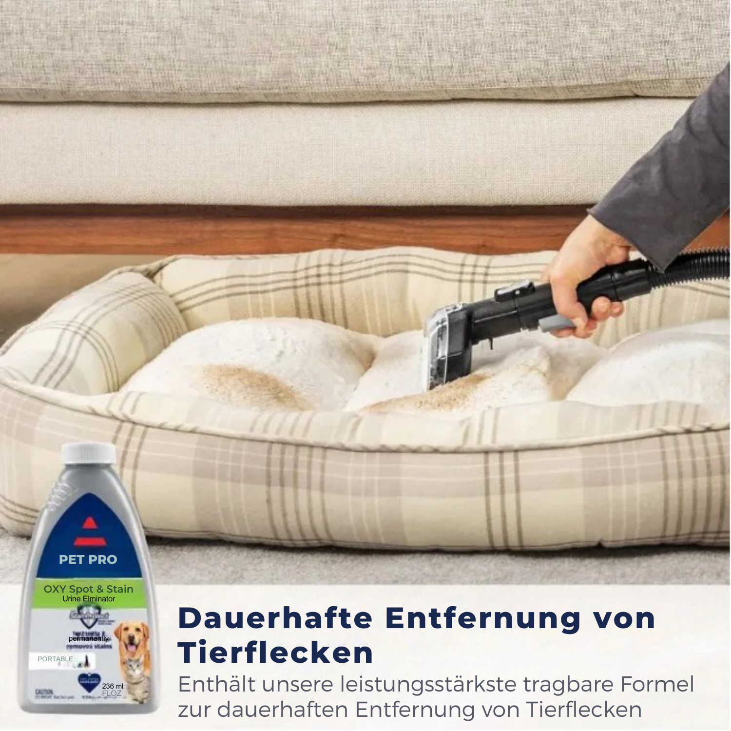 Tragbarer Teppichreiniger